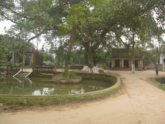 Khung cảnh nên thơ với cây đa, giếng nước, sân đình đặc trưng của những ngôi làng Việt ở miền Bắc.